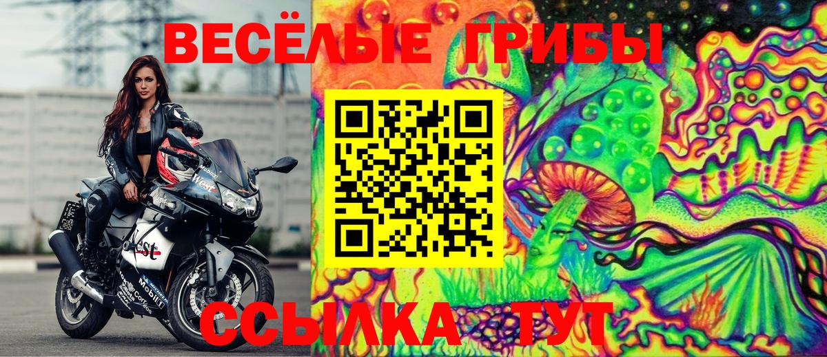 Псилоцибиновые грибы прущие грибы  Вход с VPN  Каменск-Уральский 