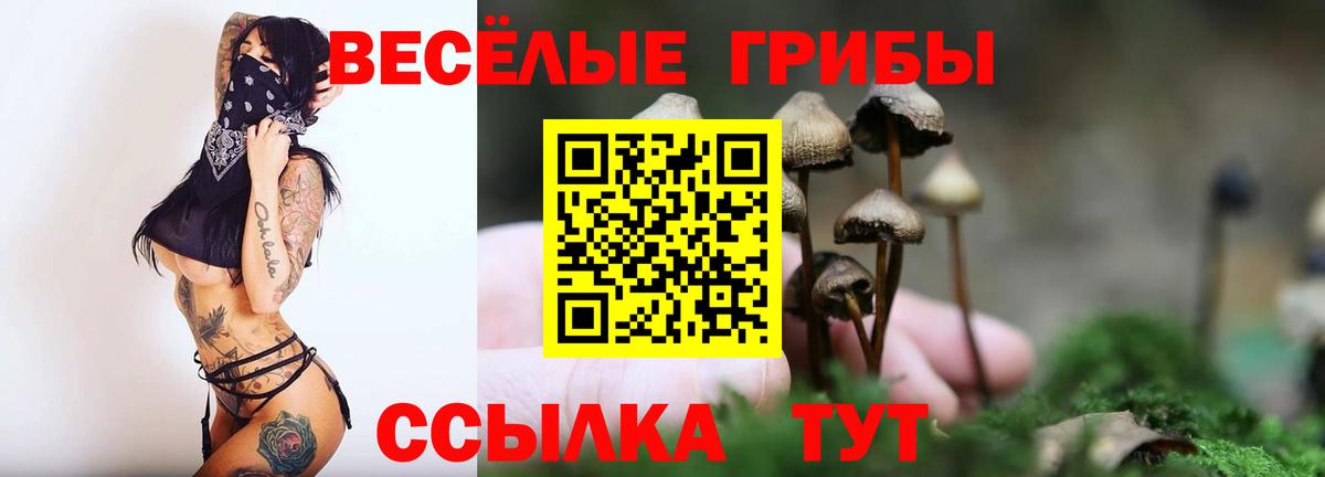 Галлюциногенные грибы мицелий Каменск-Уральский